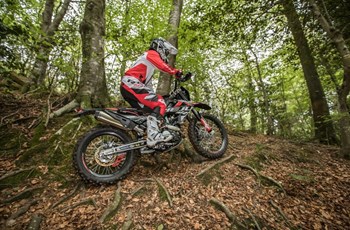 Rieju MR Pro 125 2024 - Bild 11 Rieju MR Pro 125 2024 - Bild 11