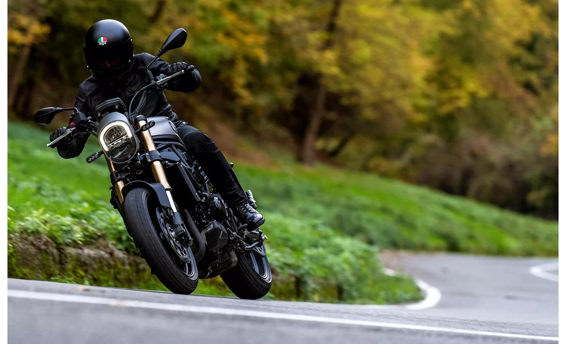 Benelli Leoncino 800 2024 Benelli Leoncino 800 2024