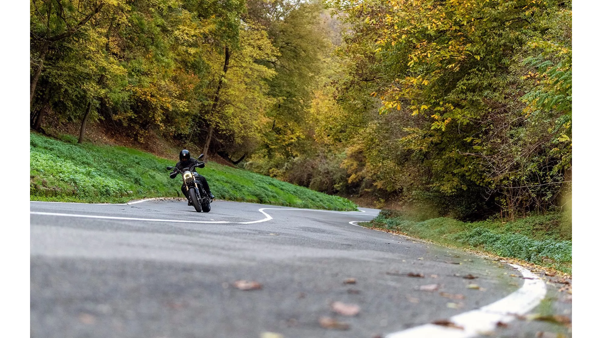 Benelli Leoncino 800 - Image 5 Benelli Leoncino 800 - Image 5