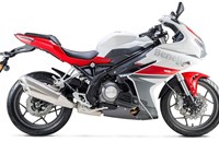 Benelli BN 302 R 2024 - Bild 4
