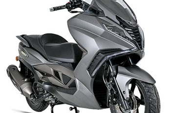 Mash Belena 125 2024 - Bild 3 Mash Belena 125 2024 - Bild 3