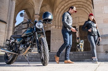 Mash Black Seven 2024 - Bild 7