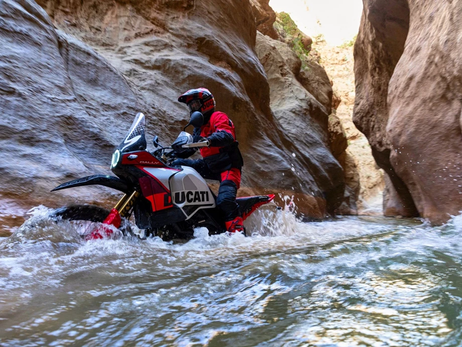 Ducati DesertX Rally Bild 9: Ducati DesertX Rally