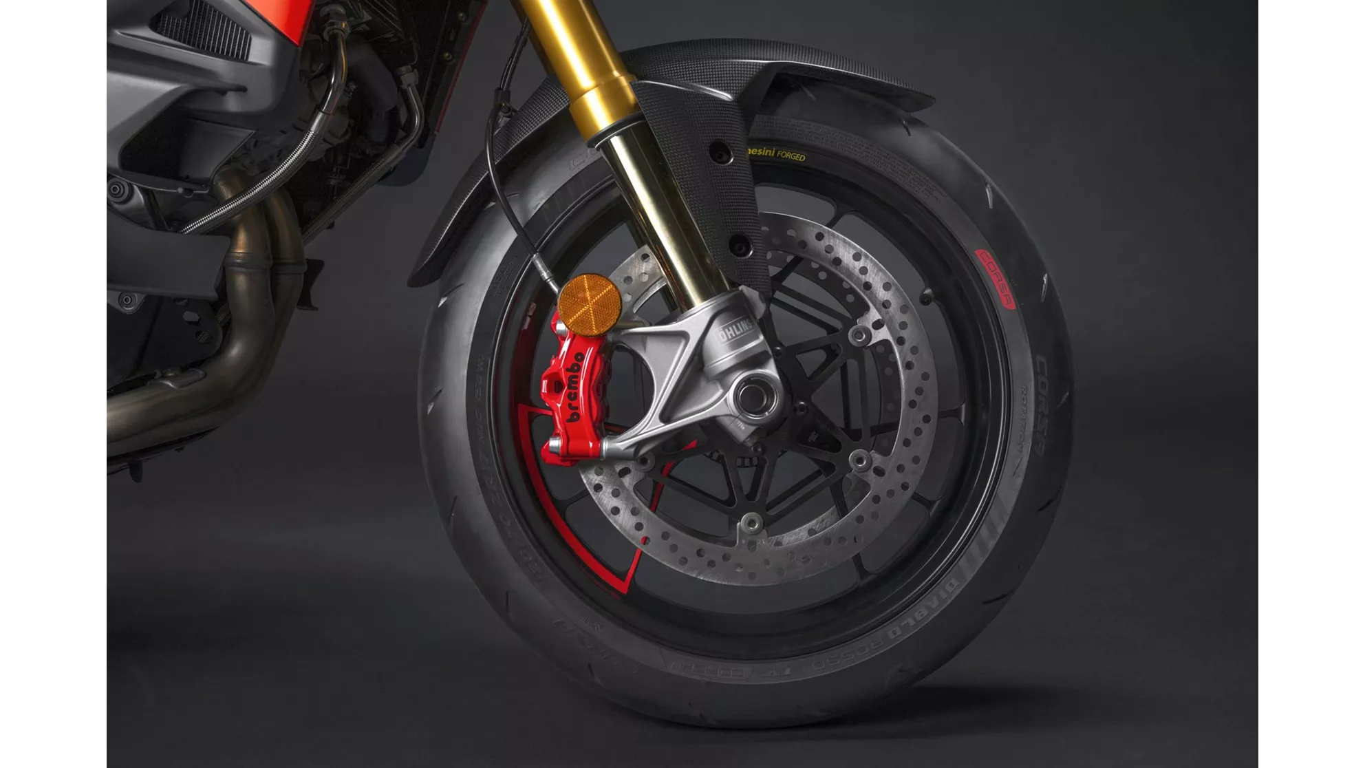 Ducati Multistrada V4 RS - Obrázek 10