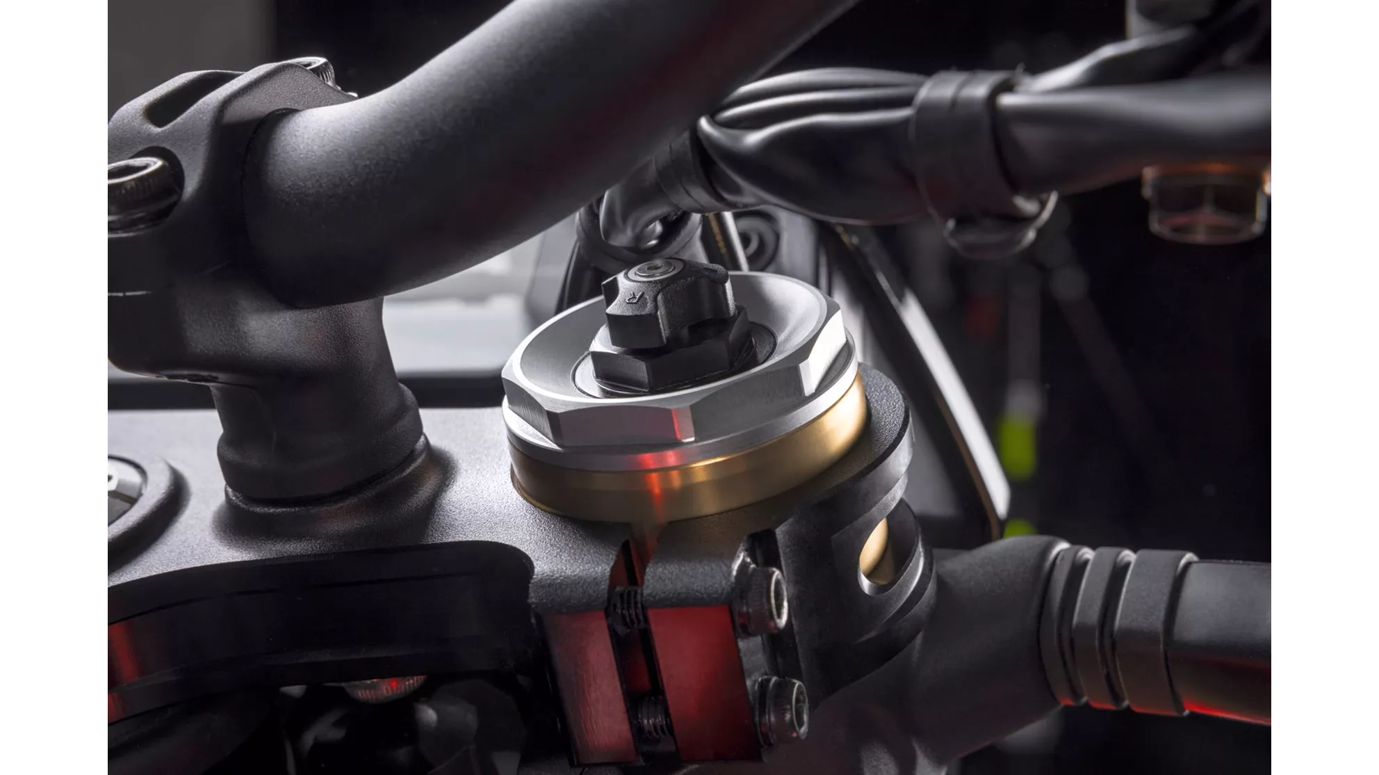 Ducati Hypermotard 698 Mono RVE 2024 - Resim 61