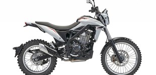 Beta Alp X 2024 vs Beta Alp 4.0 2024