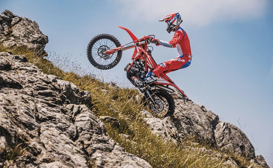 Beta Xtrainer 300 Bild 2: Beta Xtrainer 300