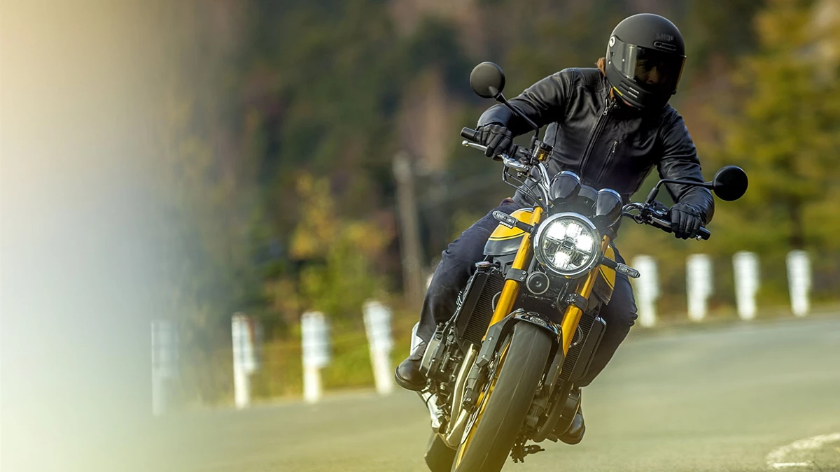 Kawasaki Z900 RS SE Bild 3: Kawasaki Z900 RS SE