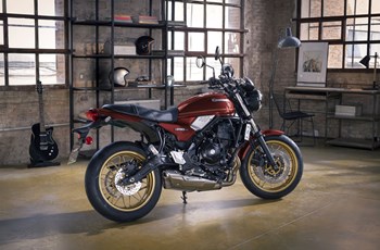 Kawasaki Z650 RS 2024 - Bild 13 Kawasaki Z650 RS 2024 - Bild 13