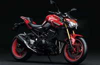 Kawasaki Z900 70kW 50th Anniversary 2024 - Bild 3 Kawasaki Z900 70kW 50th Anniversary 2024 - Bild 3