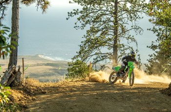 Kawasaki KX250X 2024 - Immagine 7
