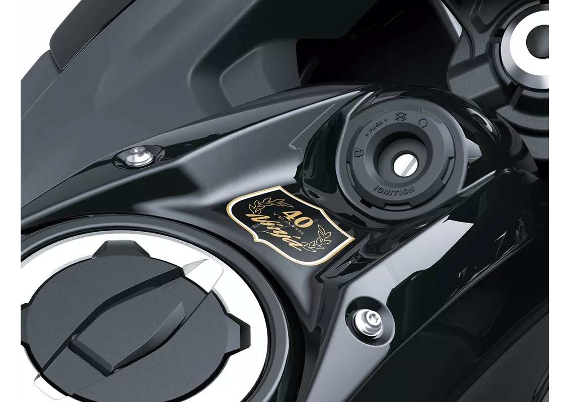 Yamaha R7 2021 vs Kawasaki Ninja 650 40th Anniversary 2024