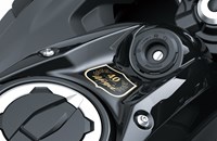 Kawasaki Ninja 650 40th Anniversary 2024 - Bild 5