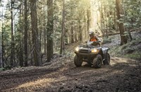 Kawasaki Brute Force 750 4x4i EPS Camo 2024 - Bild 3