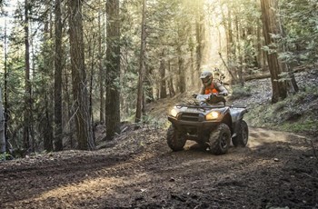 Kawasaki Brute Force 750 4x4i EPS Camo 2024 - Bild 3