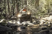 Kawasaki Brute Force 750 4x4i EPS Camo 2024 - Bild 4