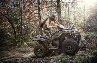 Kawasaki Brute Force 750 4x4i EPS Camo 2024 - Bild 7