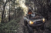 Kawasaki Brute Force 750 4x4i EPS Camo 2024 - Bild 8