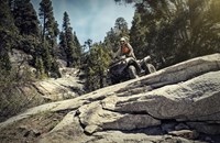 Kawasaki Brute Force 750 4x4i EPS Camo 2024 - Bild 9