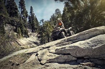 Kawasaki Brute Force 750 4x4i EPS Camo 2024 - Bild 9