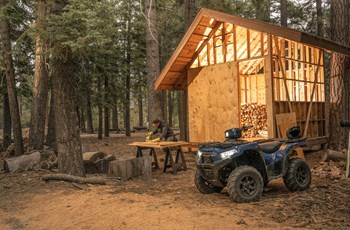 Kawasaki Brute Force 750 2024 - Bild 5