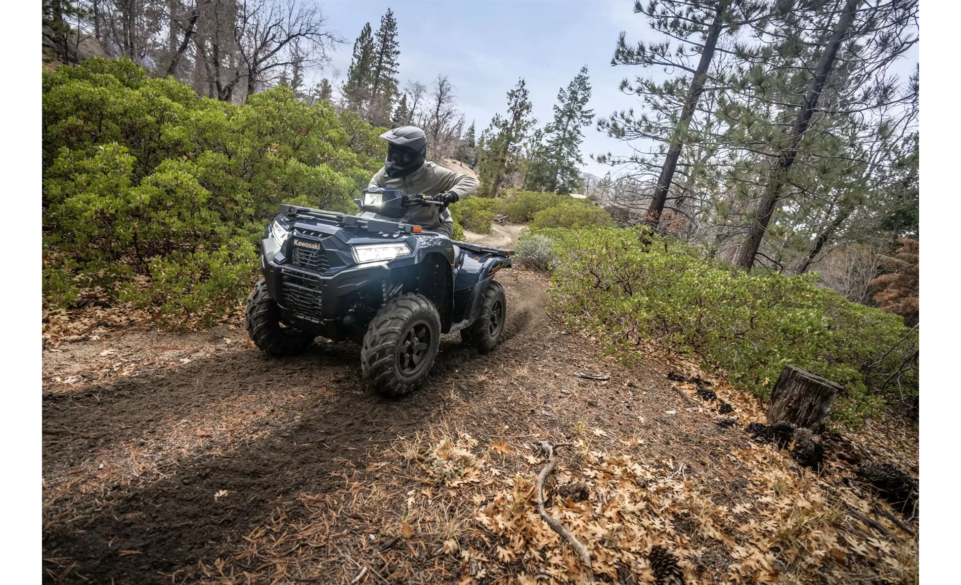 Kawasaki Brute Force 750 2024 Kawasaki Brute Force 750 2024