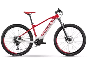 GasGas E-Bicycles G Cross Country 3.0