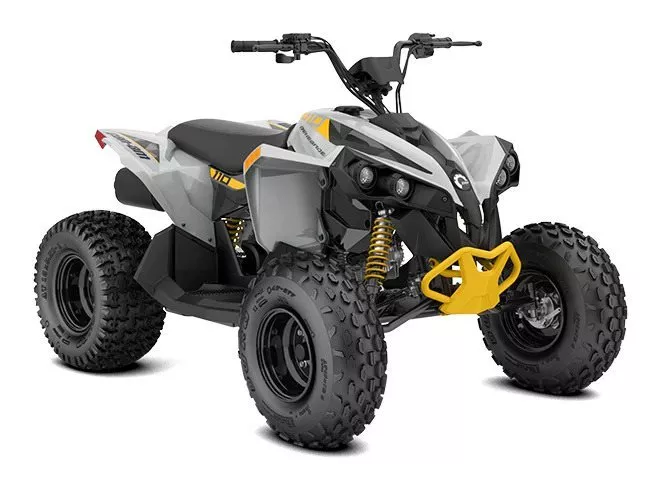 Can-Am Renegade 110 EFI Can-Am Renegade 110 EFI