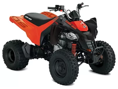 Can-Am DS 250 2024 Can-Am DS 250 2024