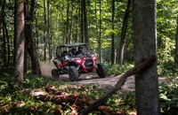 Polaris RZR XP 4 1000EPS 2024 - Bild 3