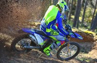 Sherco 300 SEF-R 2024 - Bild 5