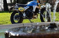 Fantic Caballero Anniversary 500 2024 - Bild 6