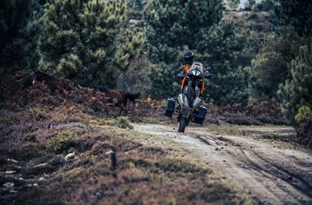 KTM 890 Adventure 2025 - Bild 12