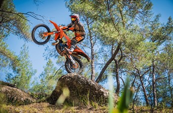KTM 300 EXC SIX DAYS 2025 - Bild 8