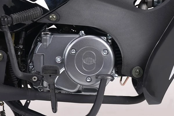 Gilera Smash 110 VS Bild 9: Gilera Smash 110 VS