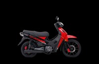Gilera Smash 110 Full 2025 - Bild 4 Gilera Smash 110 Full 2025 - Bild 4