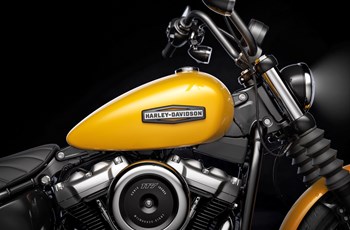 Harley-Davidson Softail Street Bob 114 FXBBS 2025 - Bild 6
