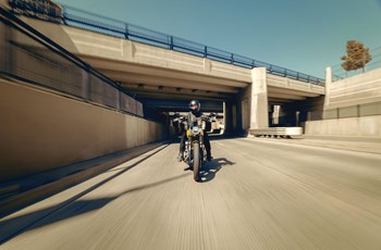 Harley-Davidson Softail Street Bob 114 FXBBS 2025 - Bild 4