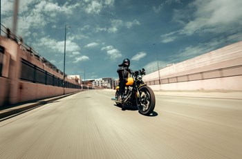 Harley-Davidson Softail Street Bob 114 FXBBS 2025 - Bild 9