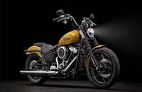 Harley-Davidson Street Bob 117 2025 - Bild 14 Harley-Davidson Street Bob 117 2025 - Bild 14
