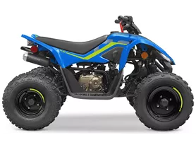 CFMOTO CForce 110 CFMOTO CForce 110