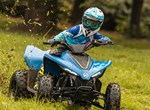 CFMOTO CForce 110