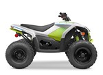 CFMOTO CFORCE EV110