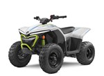 CFMOTO CFORCE EV110