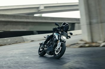 Zero S 2025 - Bild 3