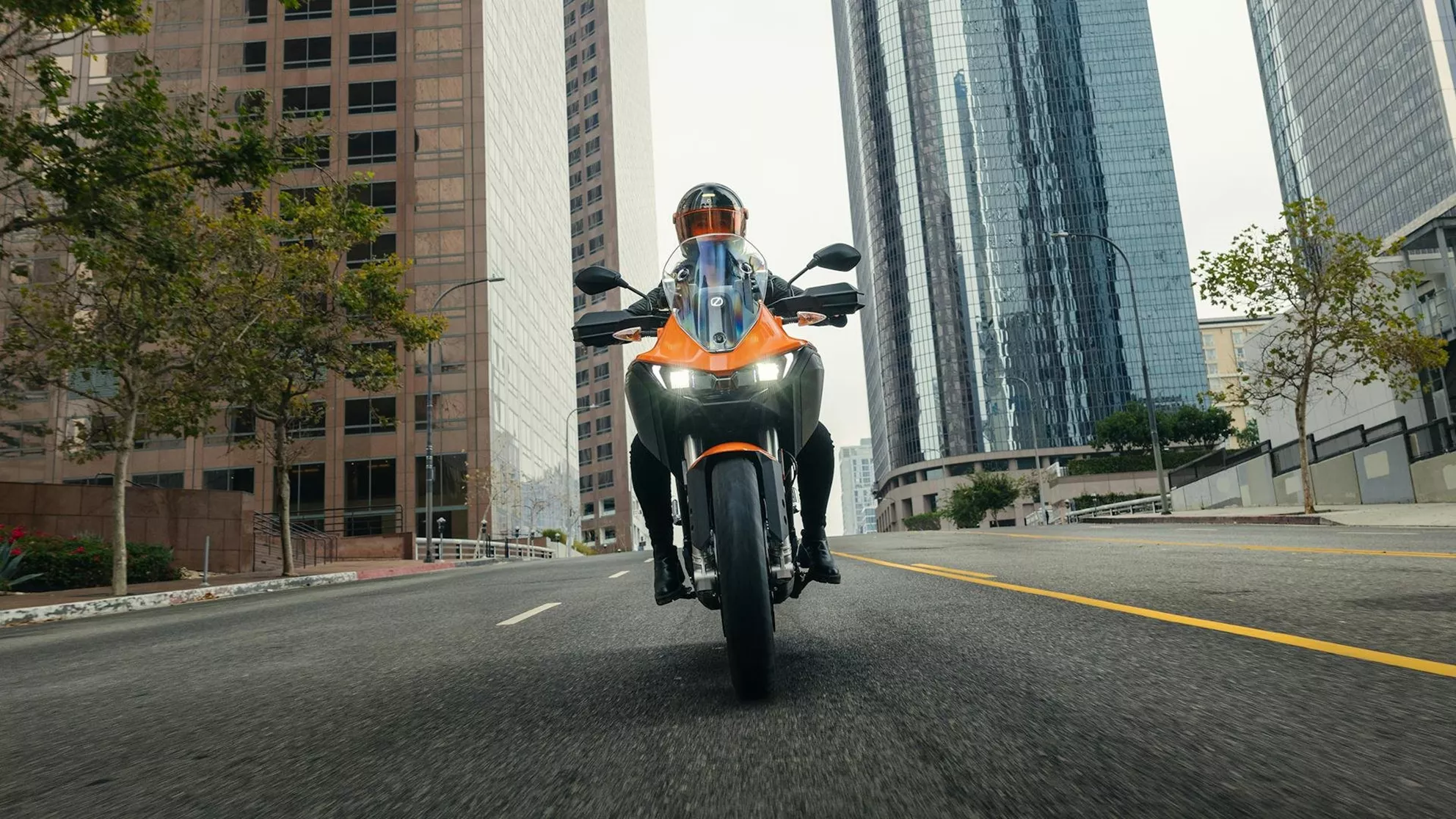 Zero DS - Image 9 Zero DS - Image 9