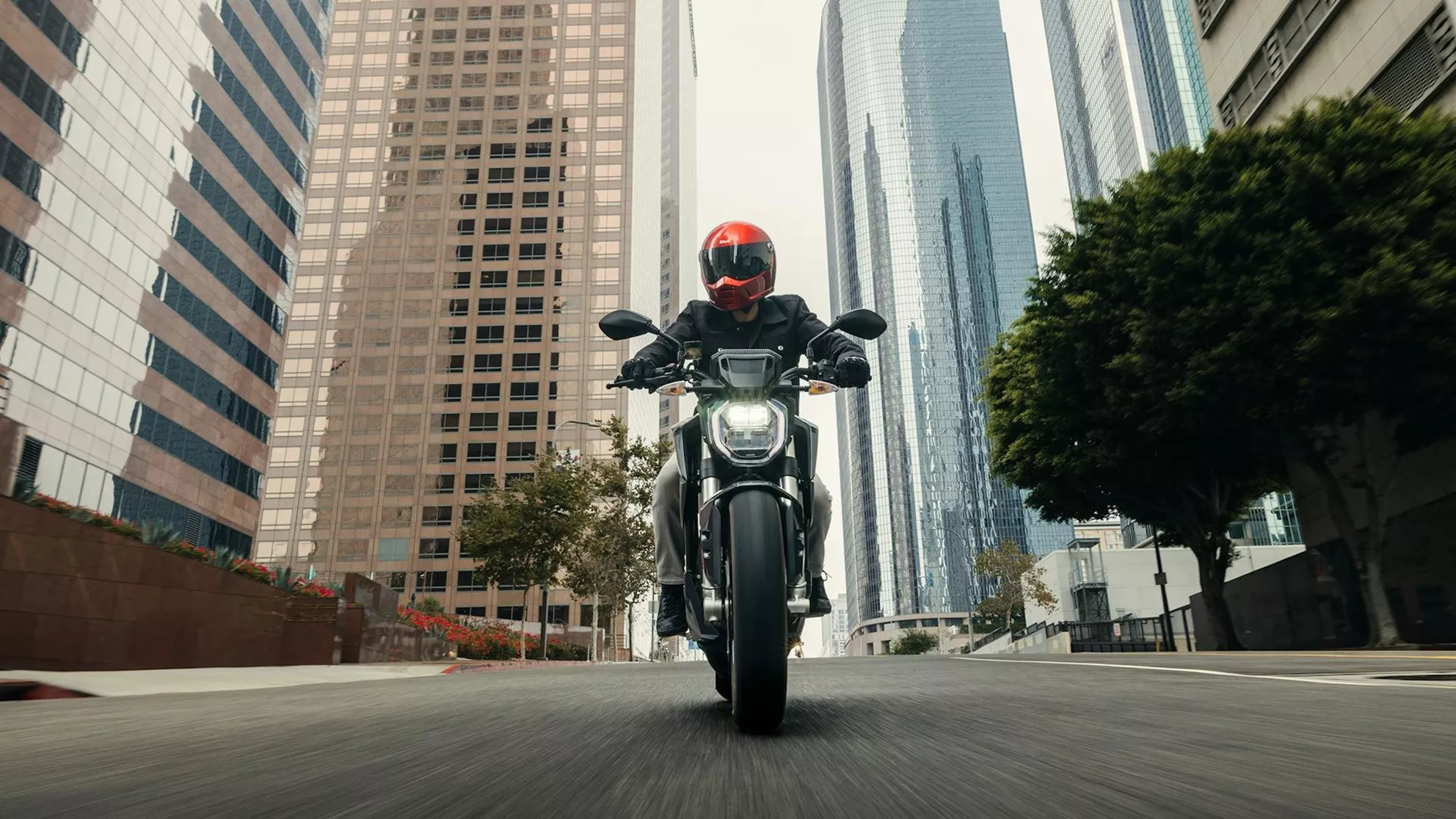 Zero SR - Image 6 Zero SR - Image 6