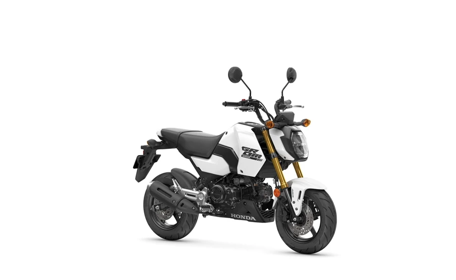 Honda MSX125 Grom Bild 3: Honda MSX125 Grom