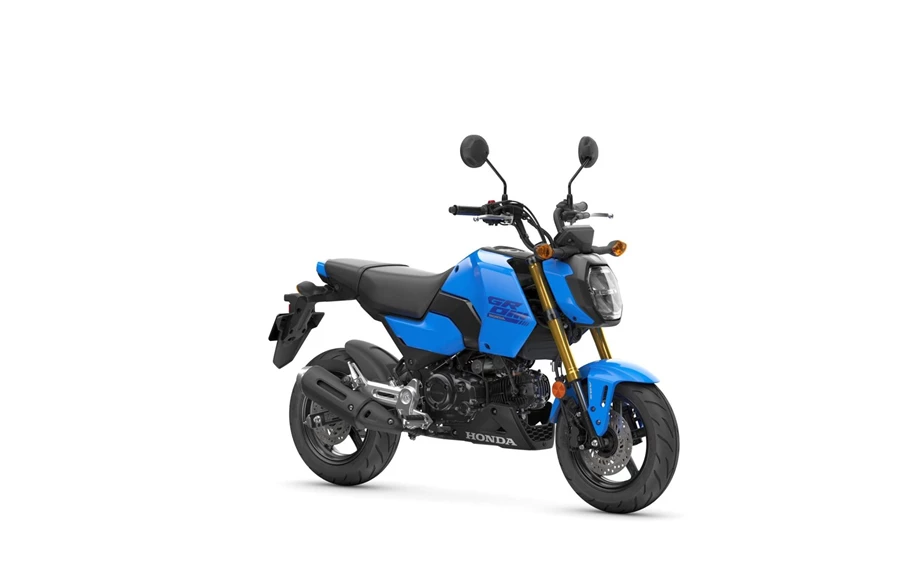 Honda MSX125 Grom Bild 9: Honda MSX125 Grom