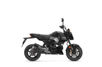 Honda MSX125 Grom 2025 - Bild 6 Honda MSX125 Grom 2025 - Bild 6